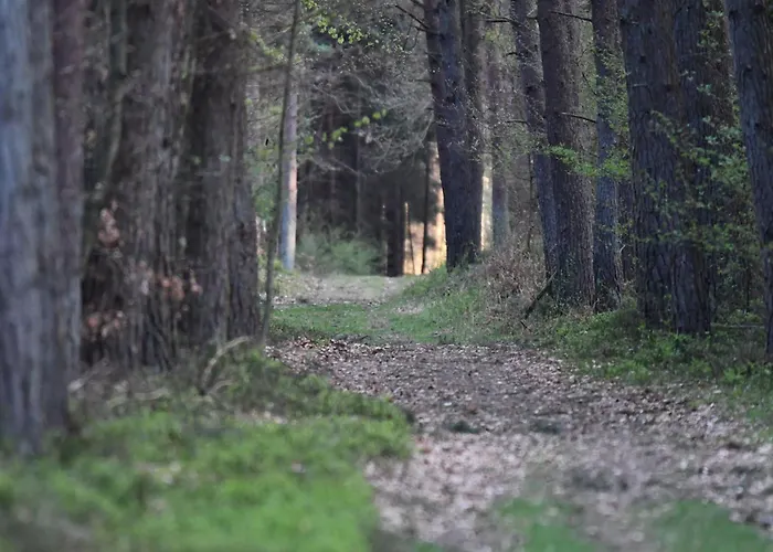 Auerhahn Ferienhaeuser Auerhahn 319 Nyaraló Hasselfelde